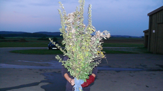 SPL-Ausbildung A-Prfung